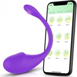 Long Distance Vibrating Wearable Panty Stimulator