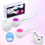 Kegel Weights Exercise Balls