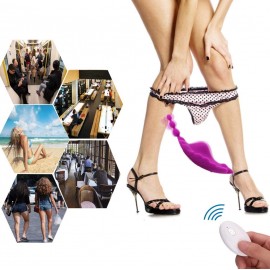 Bashful Seashell Panty Vibrator